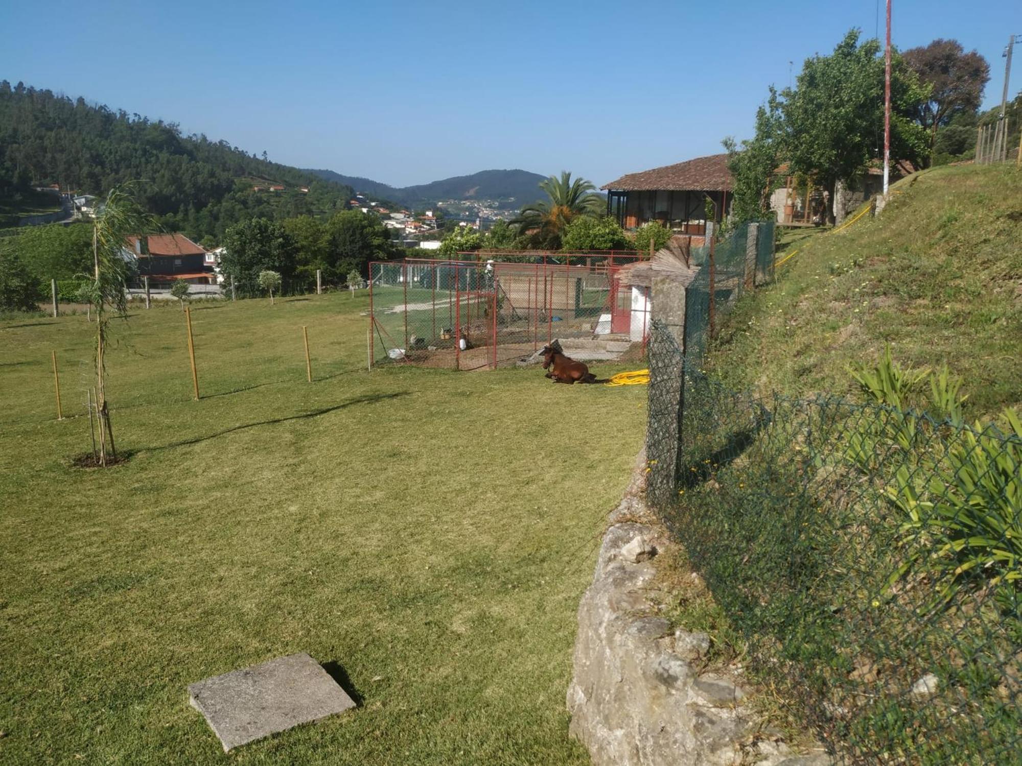 Quinta Dos Campos - Chale Villa Braga Luaran gambar